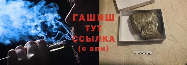 сатива Кинешма