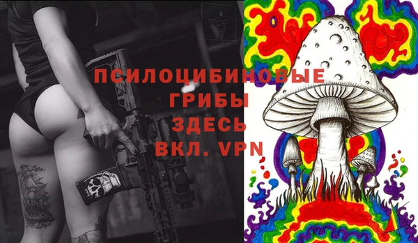 мет Карпинск