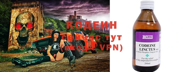 мет Карпинск