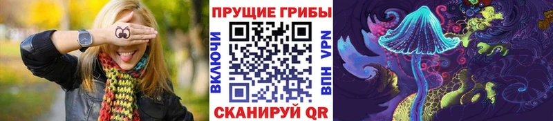 Псилоцибиновые грибы Psilocybine cubensis  купить наркотики сайты  Называевск 